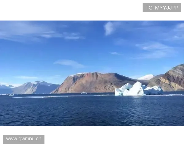 团结之声丹麦球迷举格陵兰旗助威